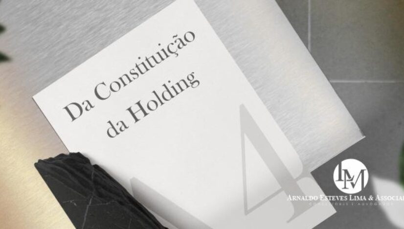 DA CONSTITUIÇÃO DA HOLDING-capa