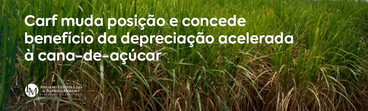 Carf muda posição e concede benefício da depreciação acelerada à cana-de-açúcar