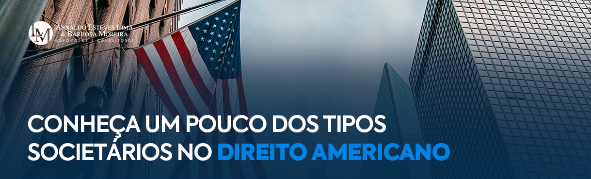 Conheça um pouco dos tipos societários no direito americano